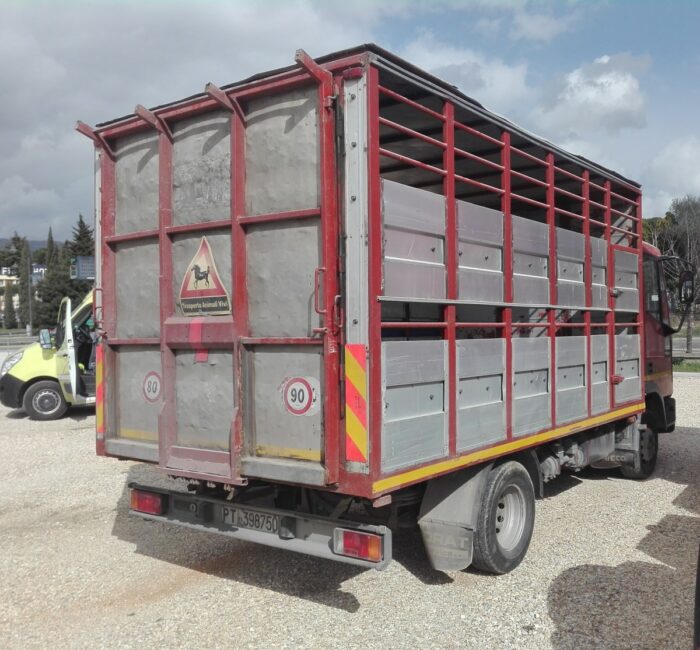 IVECO EUROCARGO - immagine 4